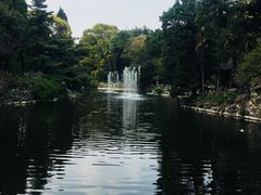 -叶家花园