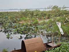 -阳澄湖半岛旅游度假区