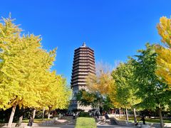 -玲珑塔公园