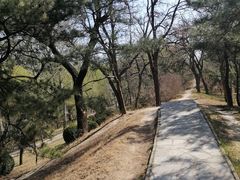 -元大都城垣遗址公园