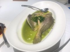 烧椒汁野生大黄鱼-飶香居(省博物馆店)