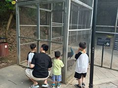 -厦门悦华酒店·绿庭主题自助餐厅