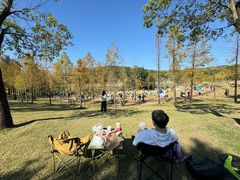 -牛岗山公园