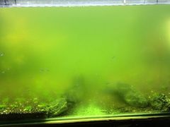 -国贸中心·国贸大厦三期