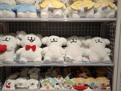 -窦店服务区-停车场