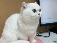-瑞派康怡24h宠物医院·犬猫医疗中心·微创绝育(瑞景分院)