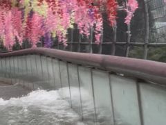 -野三坡刘家河高山漂流