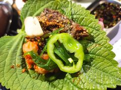 苏子叶-范儿·嫂子烤肉·精致炭火烤肉(长治路店)