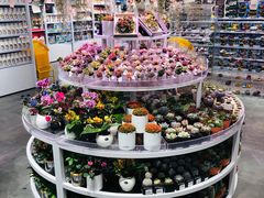 -KKV(深圳kk one 店)