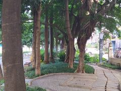 -广西大学(大学东路校区)
