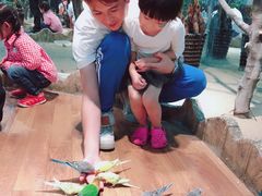 -昆明大悦城未来动物城(螺蛳湾中心店)