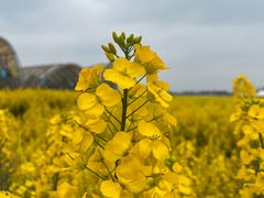 -中国天府农业博览园