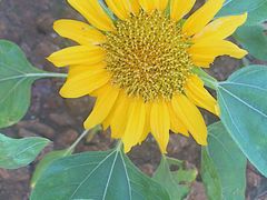 -无锡市市民中心