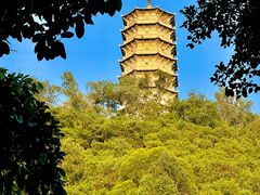 -深圳国际园林花卉博览园