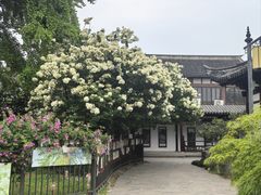 -常熟方塔园