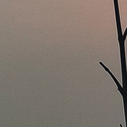 -凡碧诗毛孔收细