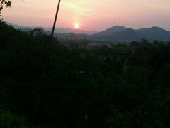 android_upload_pic-天强农家菜馆