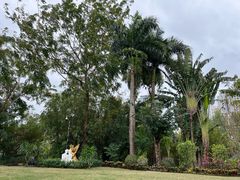 -三亚凤凰水城凯莱度假酒店