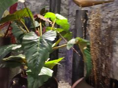 -瑞华酒楼(佳景国际店)