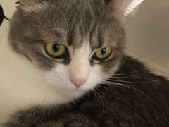 -Catmate·猫肥家润(金润铂宫店)