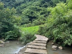 -龙窝子