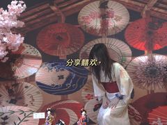 -豆柴町-柴犬主题狗咖(红鼎国际C座店)