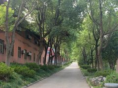 -开福禅寺