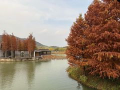 -翠姐姐农家大院·老底子萧山菜(建设一路店)