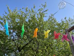 -北京西山国家森林公园