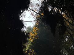 -苏州河梦清园环保主题公园