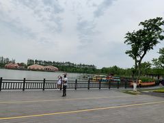 -上海长兴岛郊野公园