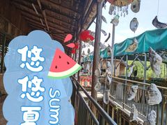 -崖口红树林海鲜餐厅