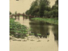 -陶辛水韵