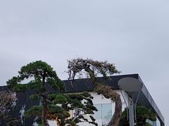 -罗红摄影艺术馆