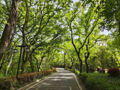 -句容茅山景区