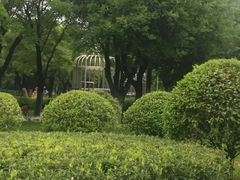 -洨河生态公园