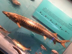 -天津自然博物馆