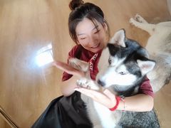 -Husky Go! 哈士奇体验馆·宠物咖啡厅狗咖