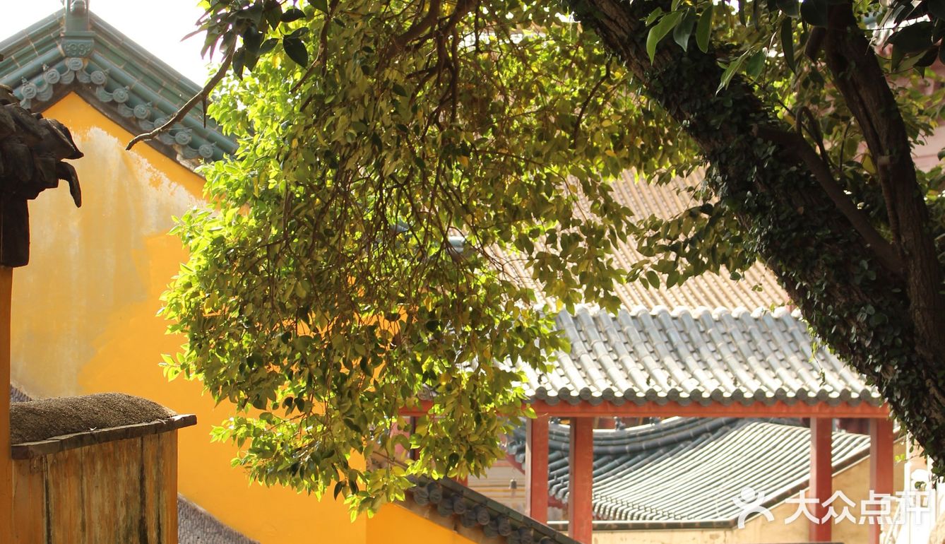 镇江颜值担当
