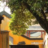 镇江颜值担当