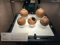 -重庆中国三峡博物馆(重庆博物馆)