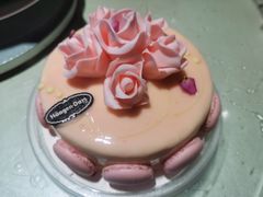 -哈根达斯(武汉天地店)