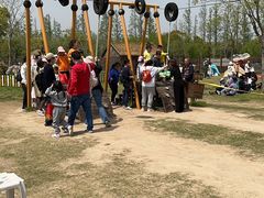 -上海长兴岛郊野公园