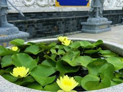 -护国法轮寺