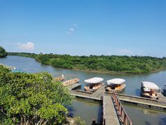 -东寨港红树林旅游区