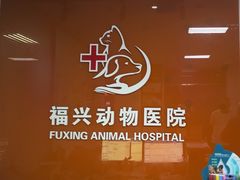 -瑞派福兴宠物医院犬猫全科·骨科·中西医结合(河东店)