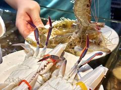 -领鲜活海鲜榴莲自助火锅(东门店)