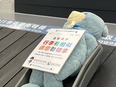 -杭州萧山国际机场