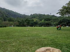 -火炉山森林公园