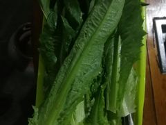 -章记正宗南岗鱼蛋火锅